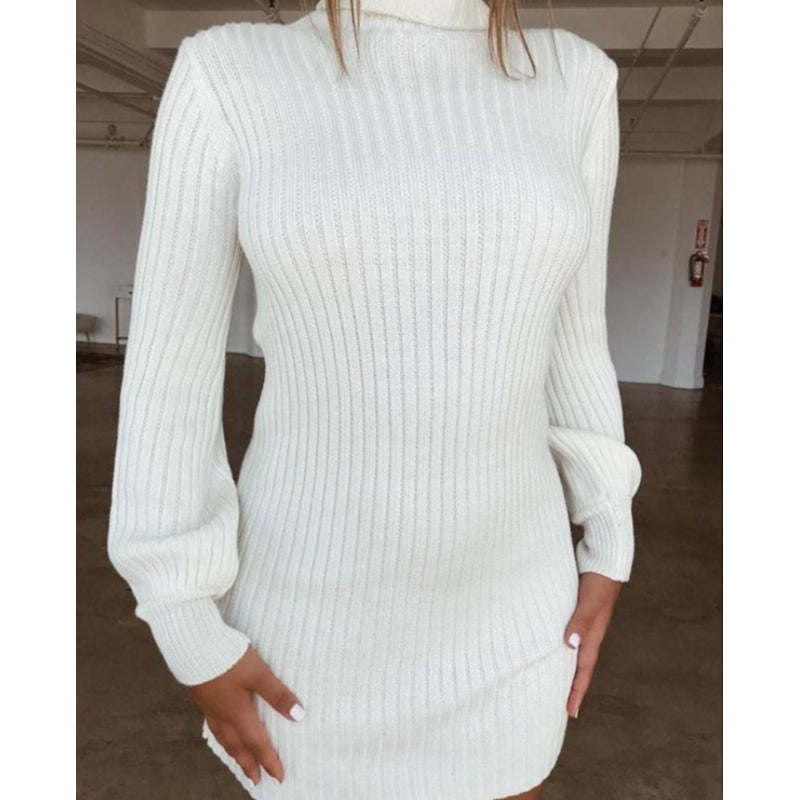 Emily | Rollkragenpullover-Kleid